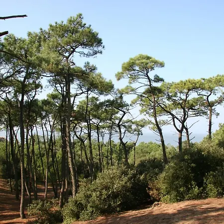 Διαμέρισμα Face - Bel Pour 4 Saint-Brevin-les-Pins