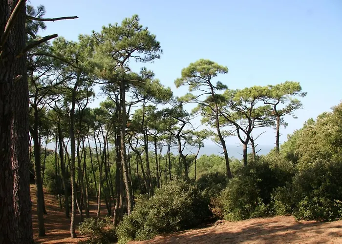 شقة Face - Bel Pour 4 سانت-بريفين-لي-بان